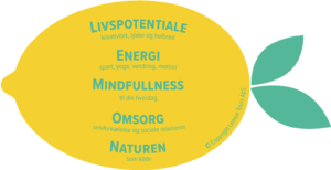 Lemon Tours Livskvalitetsmodel - Livspotentiale - energi - mindfullness - omsorg - naturen